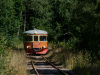 DSC5246